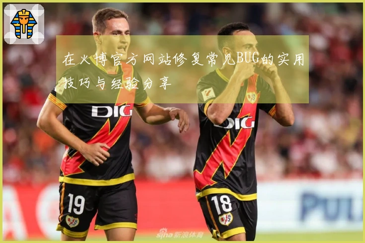 在火博官方网站修复常见BUG的实用技巧与经验分享
