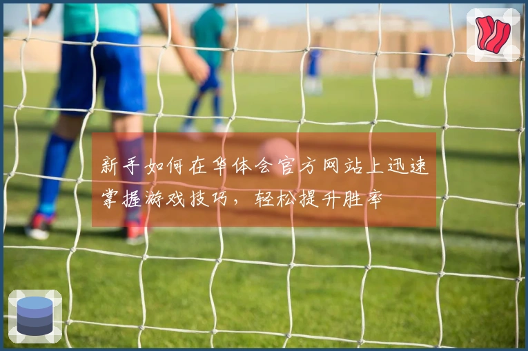 新手如何在华体会官方网站上迅速掌握游戏技巧，轻松提升胜率