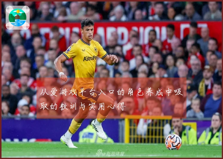 从爱游戏平台入口的角色养成中吸取的教训与实用心得